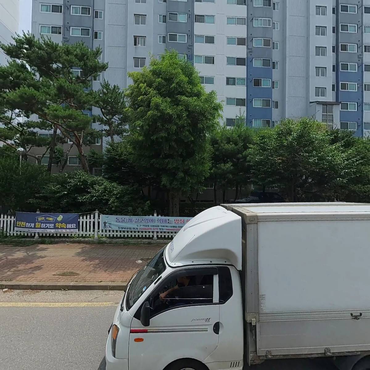 상어가족_3