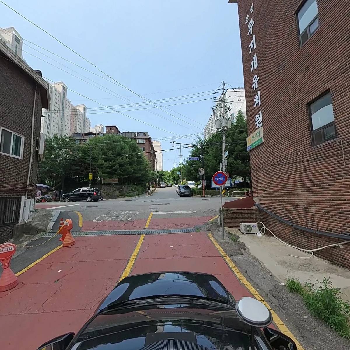 너도 꽃_4