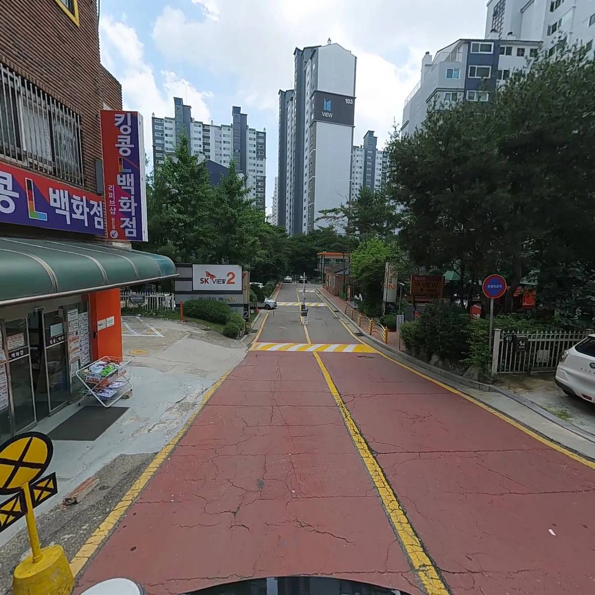 너도 꽃_2