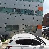 덴트위스트_3
