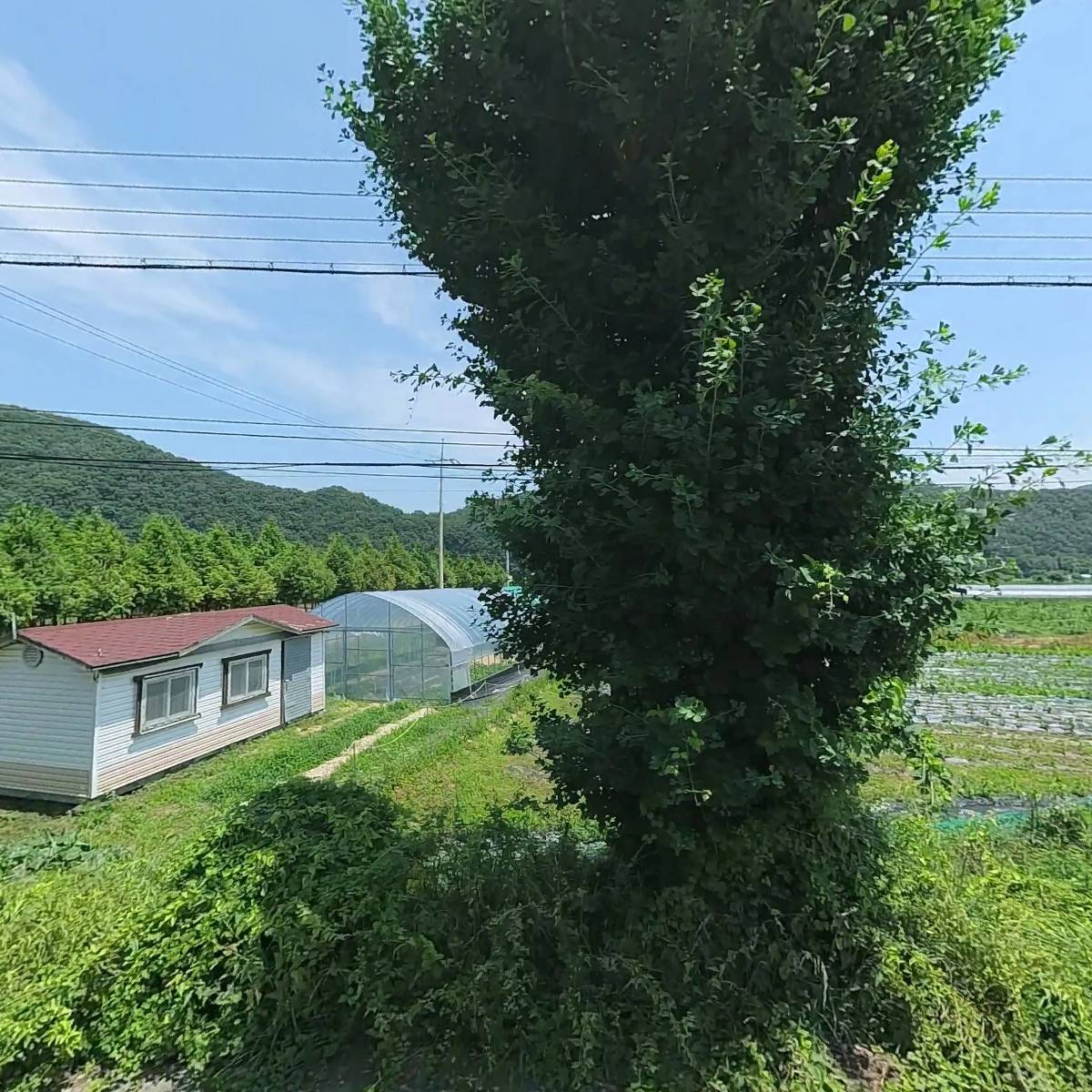 델리퀸 옥화대 휴게소점
