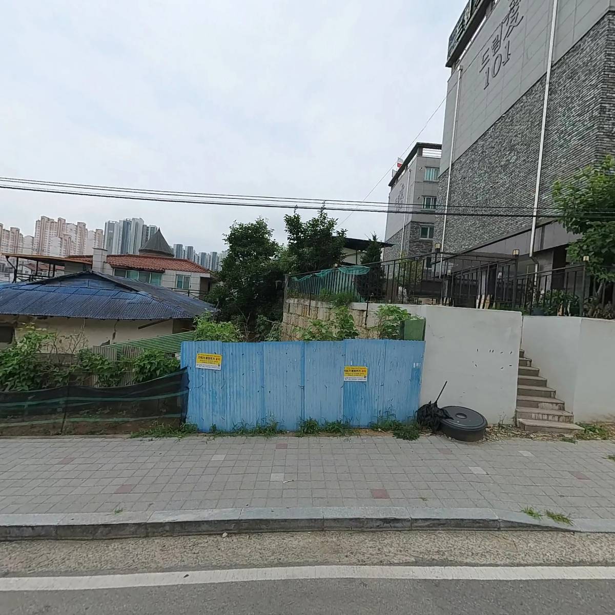 드림인셀덤
