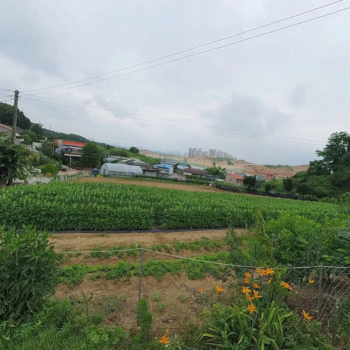 (주)세종전설_3