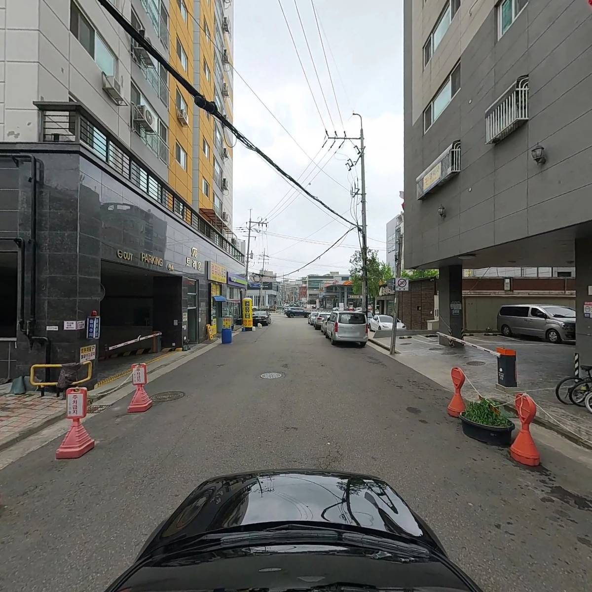 금성상사_4