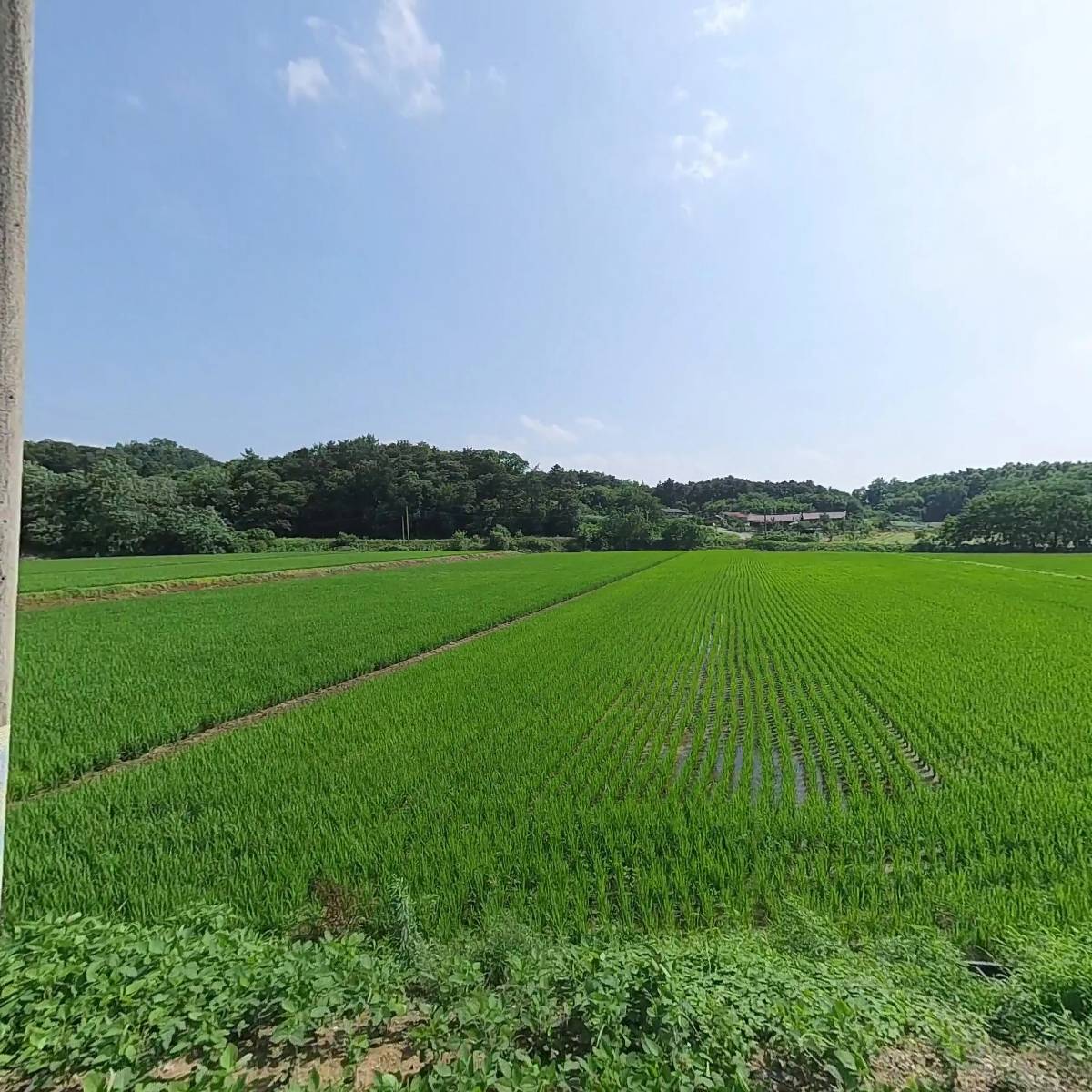 대한예수교장로회 주 하나교회_3