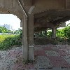 고고스낵