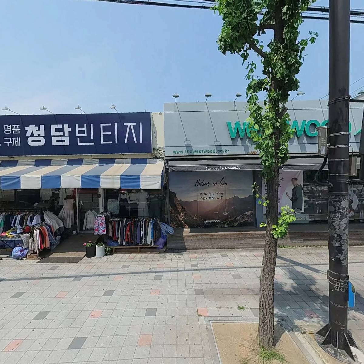 부흥