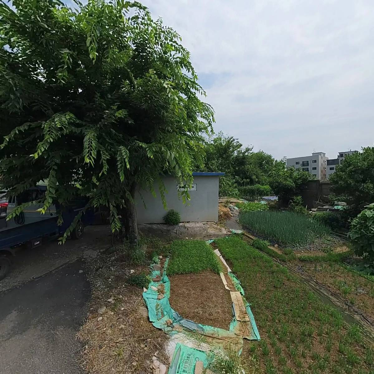 고양원단_3