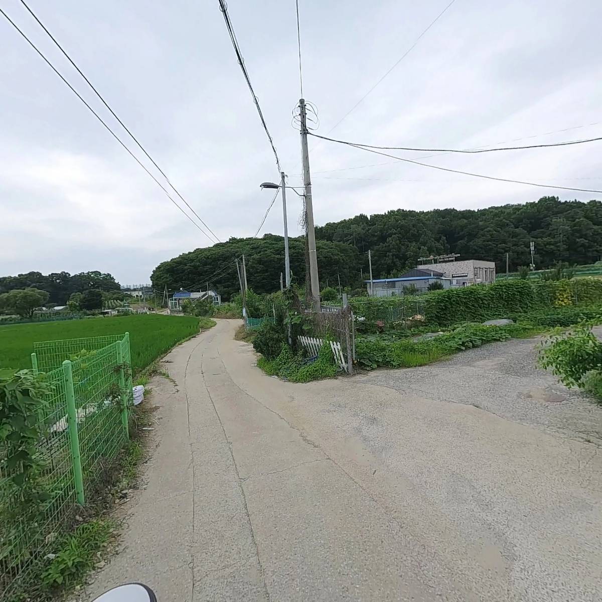 꽃종합유통_2