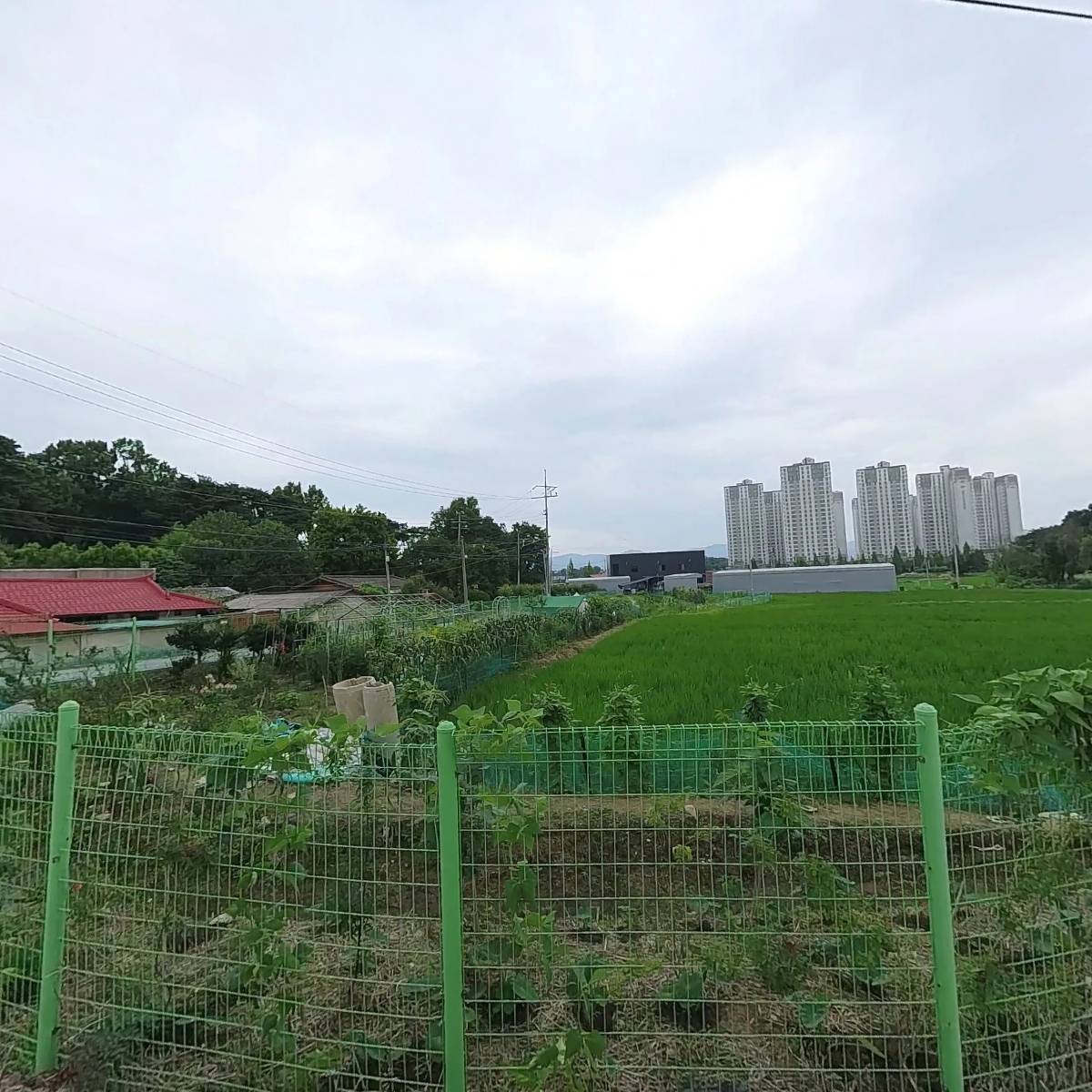 꽃종합유통