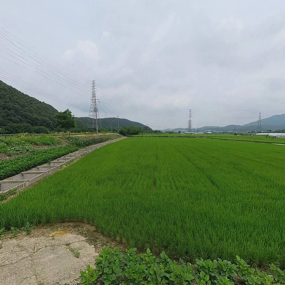 우렁농산_3