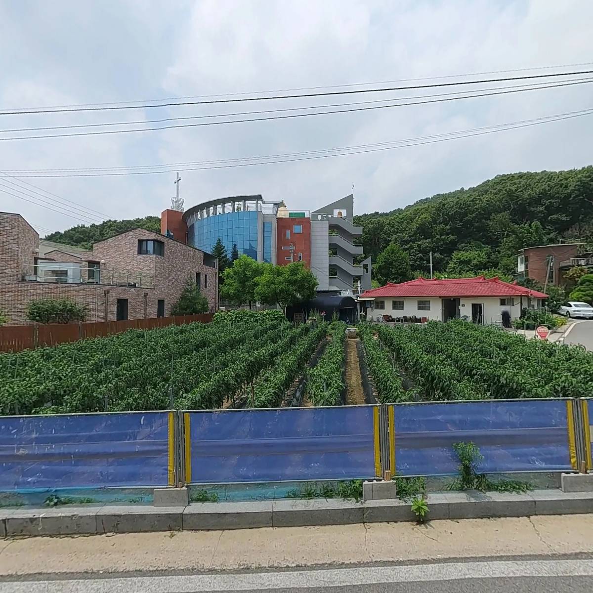 (주)백두호랑단