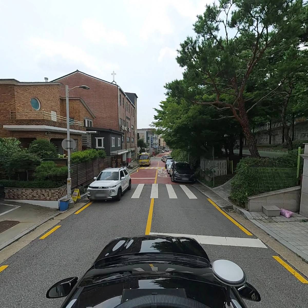 햄스터대학교_4
