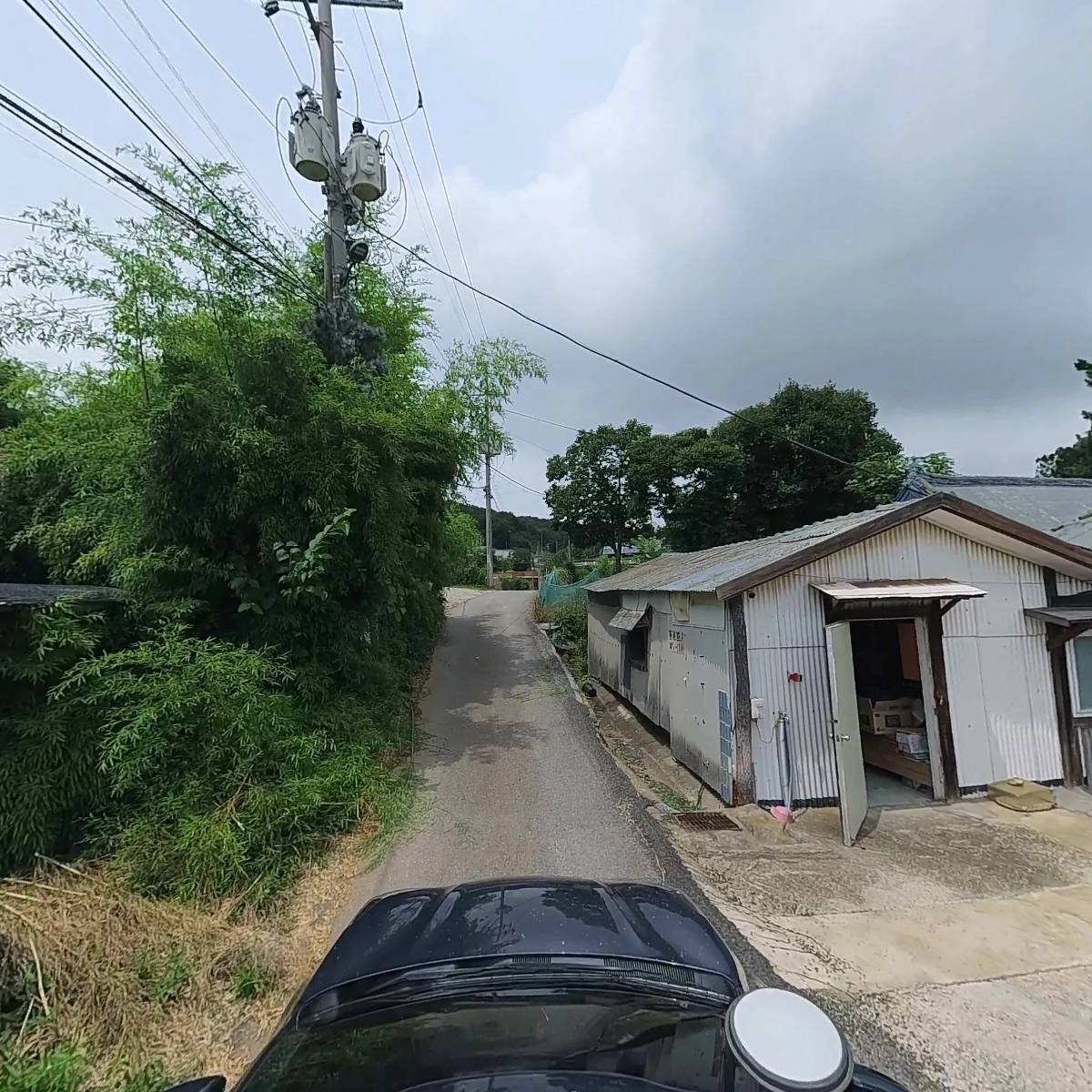 펫블리피쉬_4