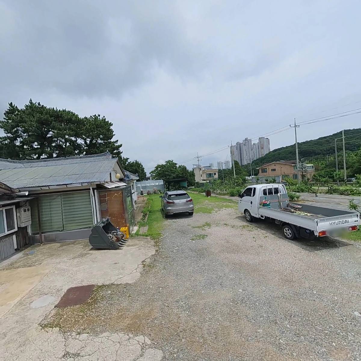 펫블리피쉬