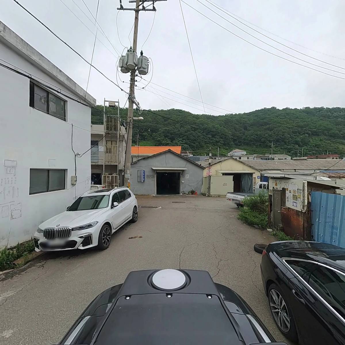 대성단자_2