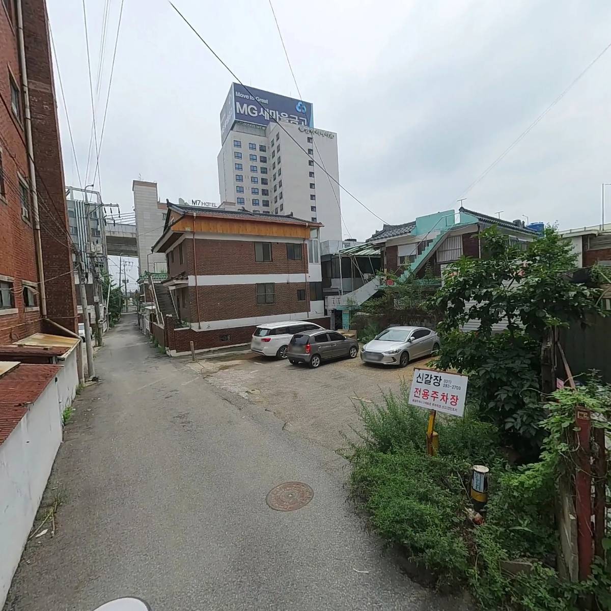 젤라_2
