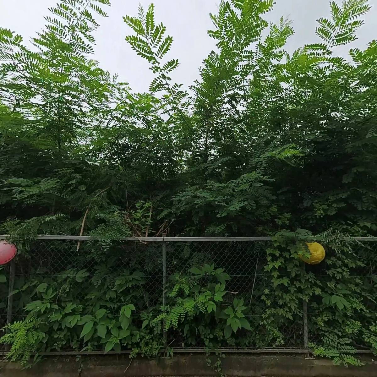 한국CPE협회_3