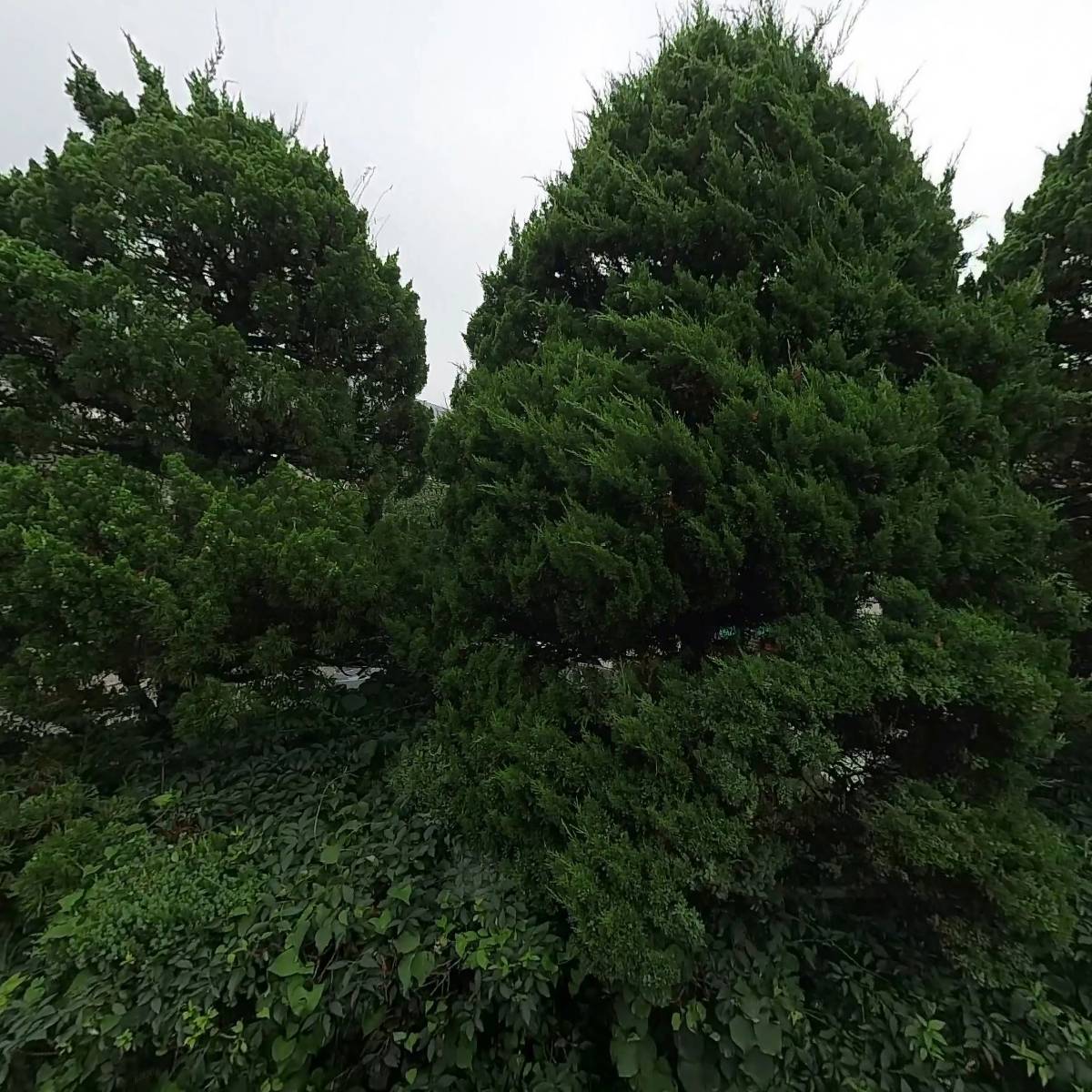 정우케미칼_3