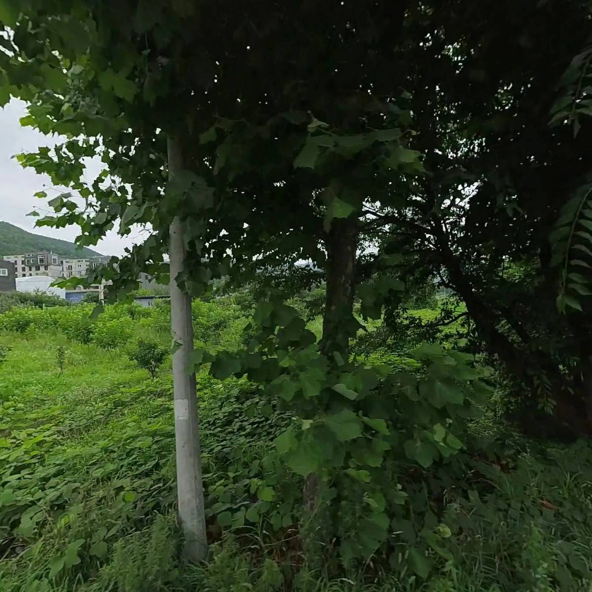 농업회사법인팜스마켓주식회사