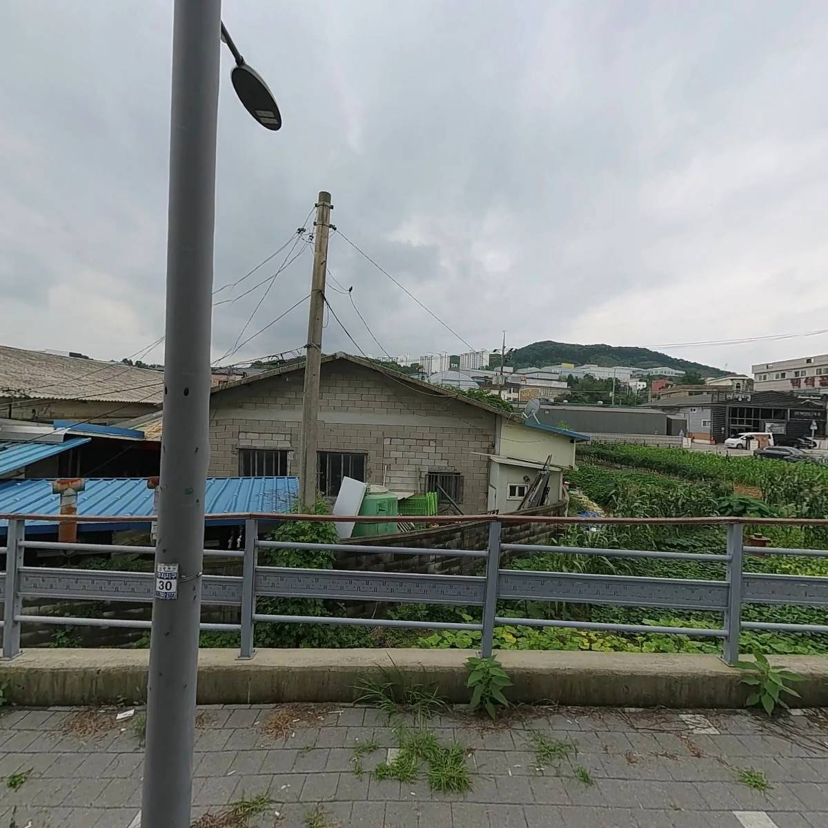 성은교회