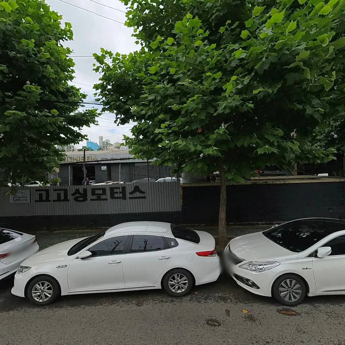 고고싱모터스