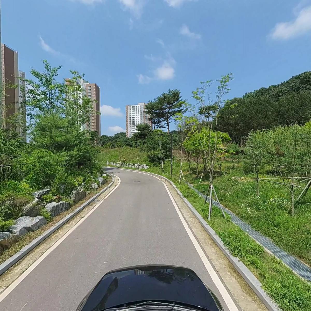 육식러_4
