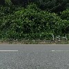 디자인밈（design meem）_3