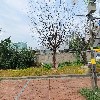 우리애수산
