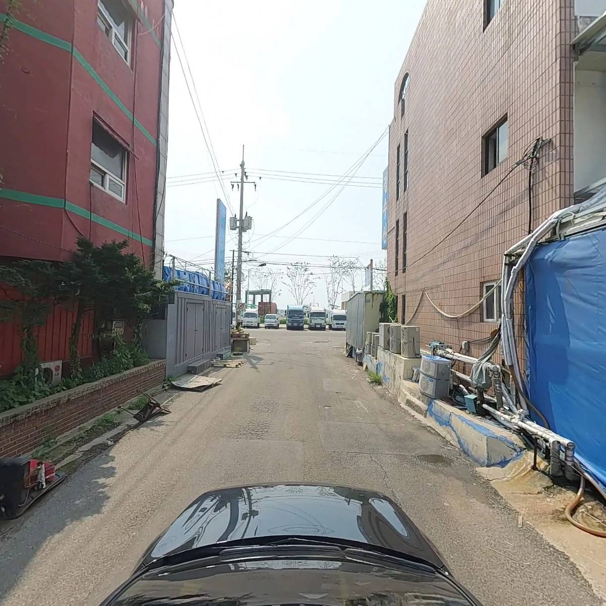 연평새우와꽃게_4