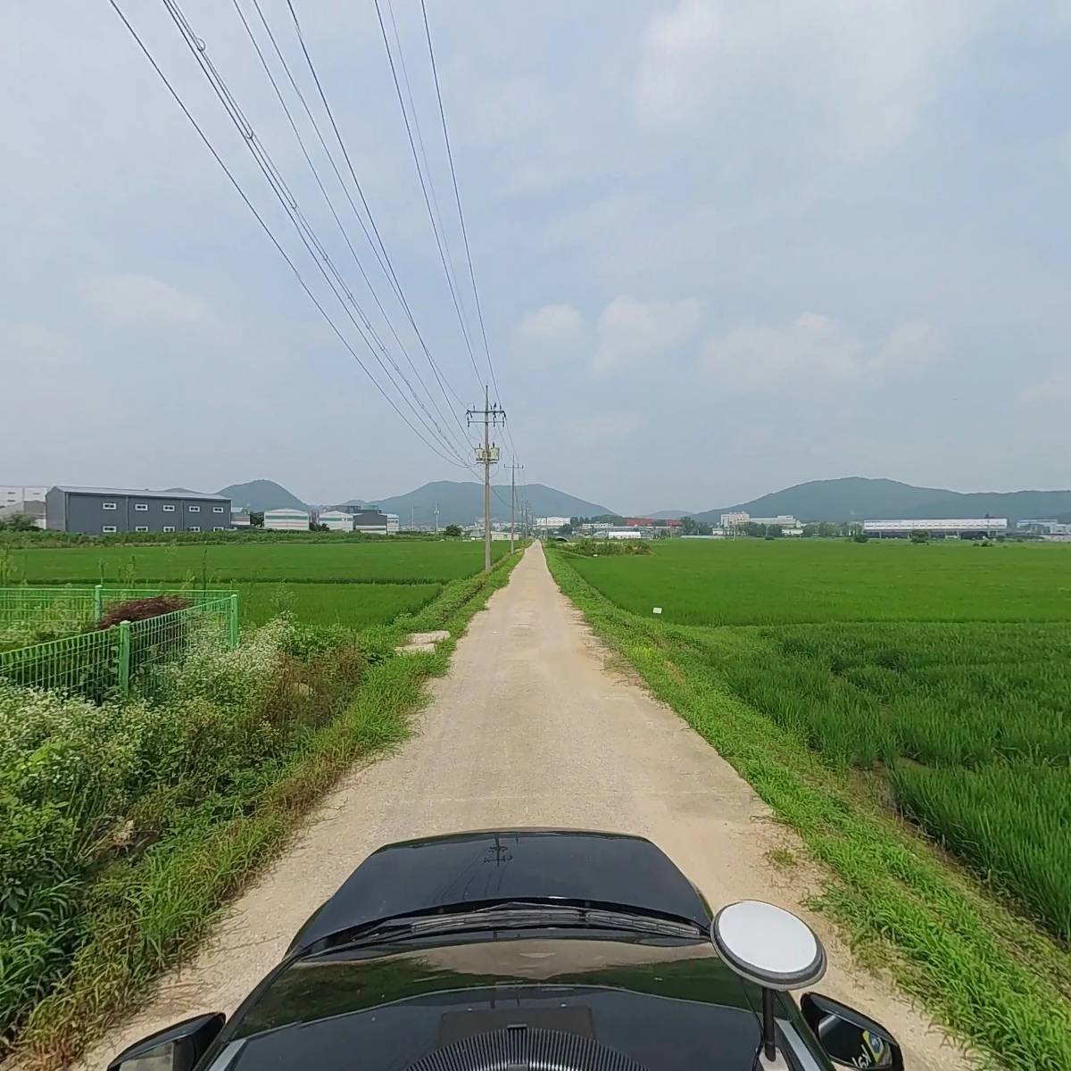 플라워앤곰2_4