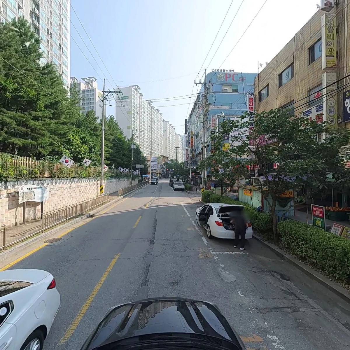 충남청과_4