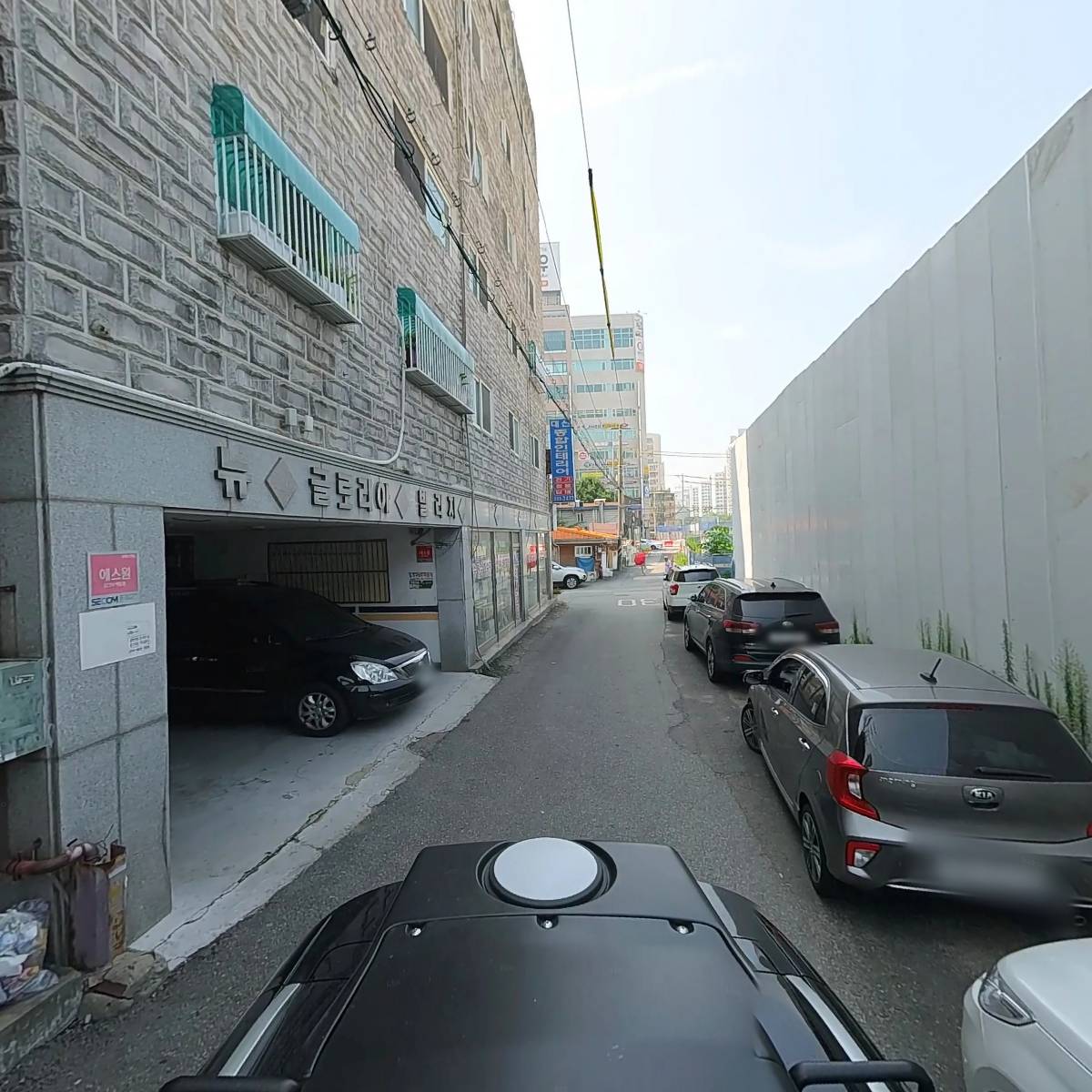 고도리맘_2