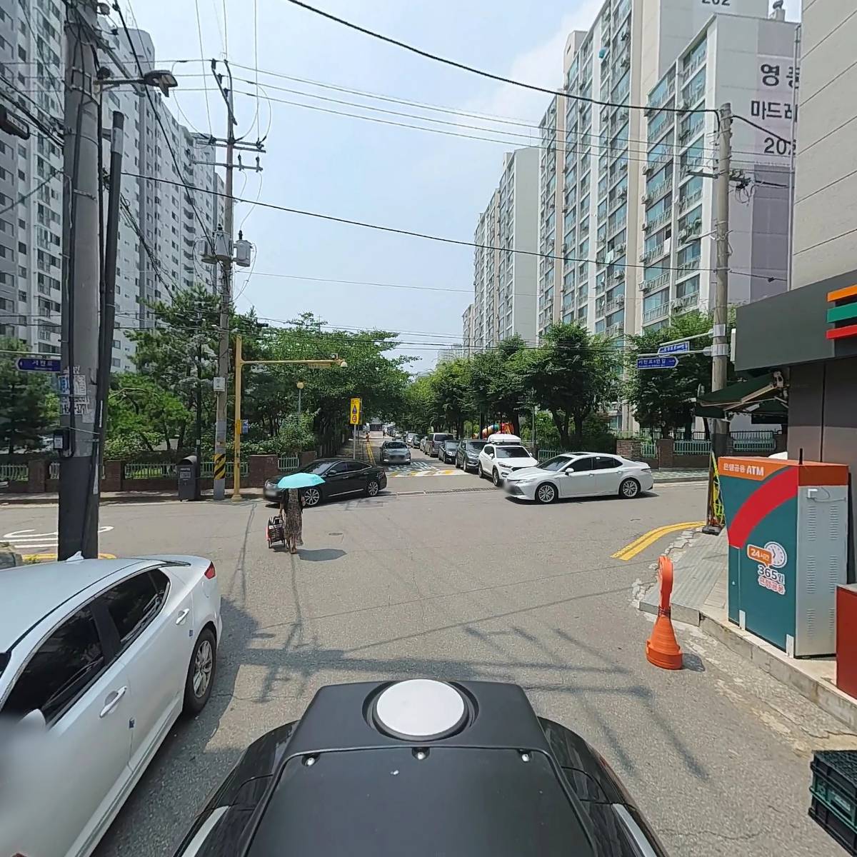 천조호_2