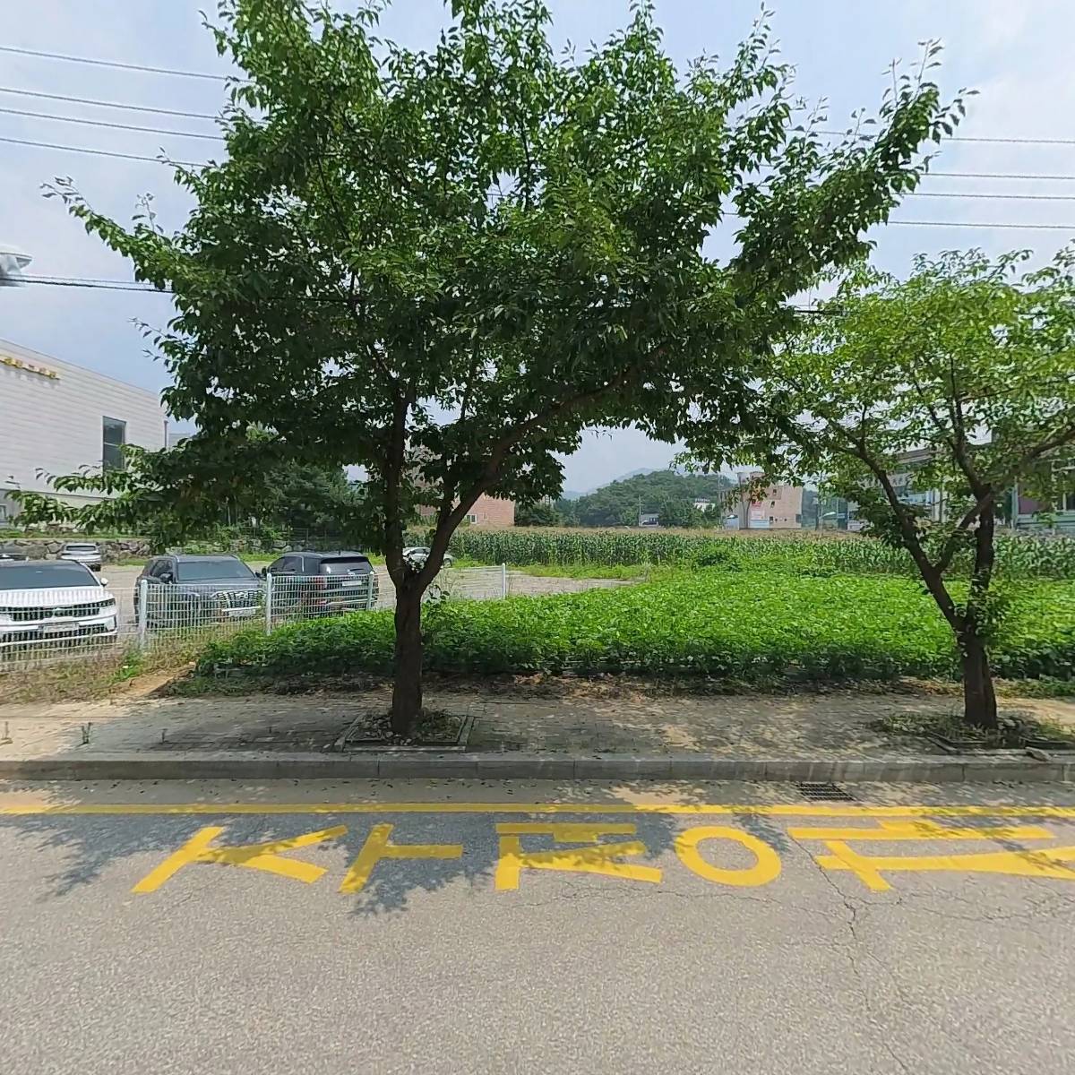 중앙윤약국_3