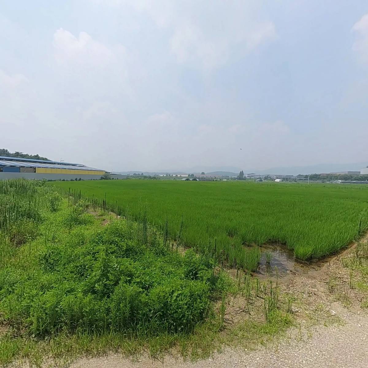 (주)구스베_3