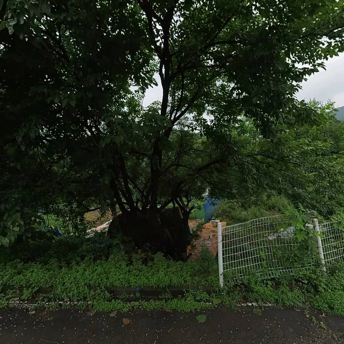 규장각