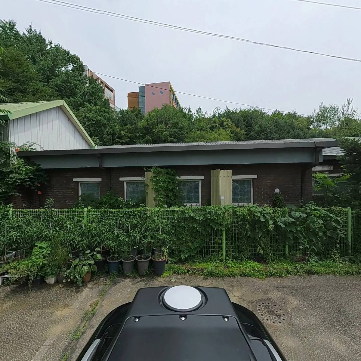 경화여자중학교_2