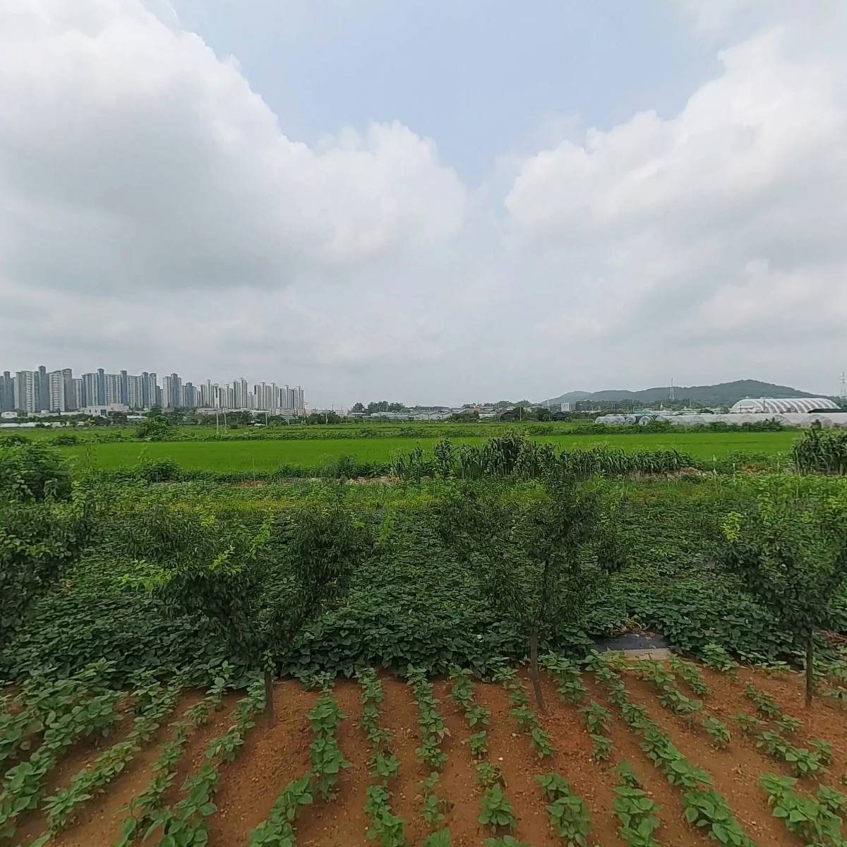 디자인렌티