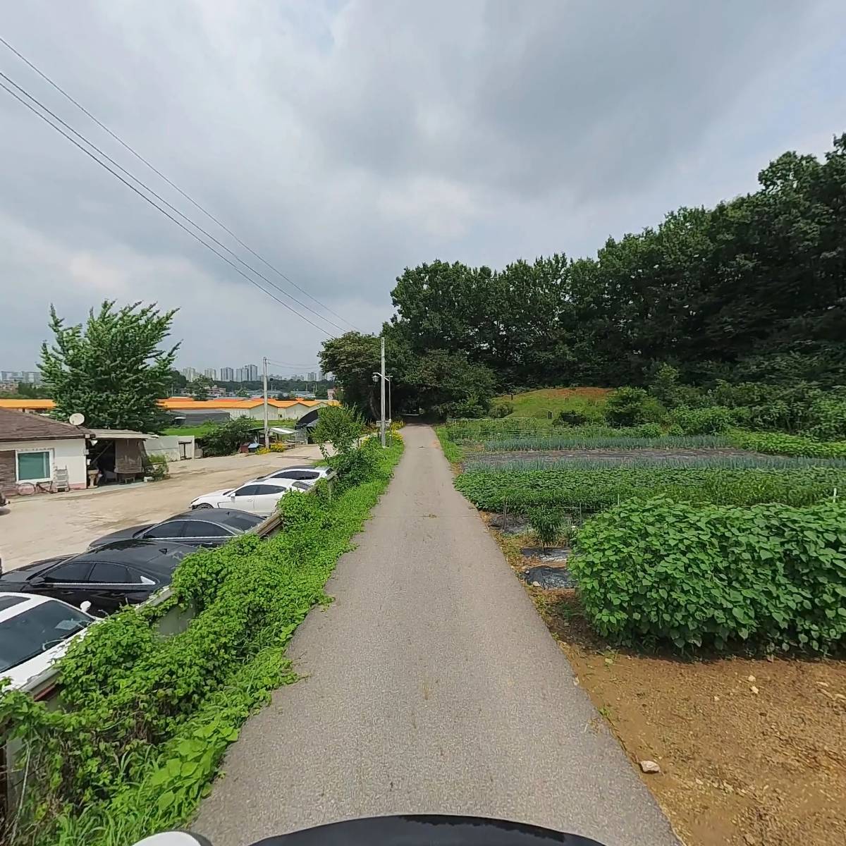 시온모터스_2
