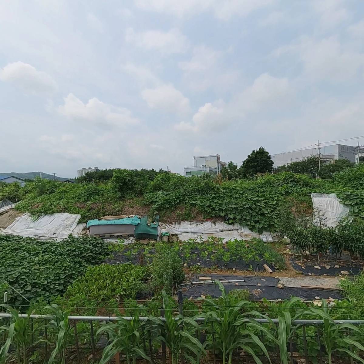 주식회사 피플스