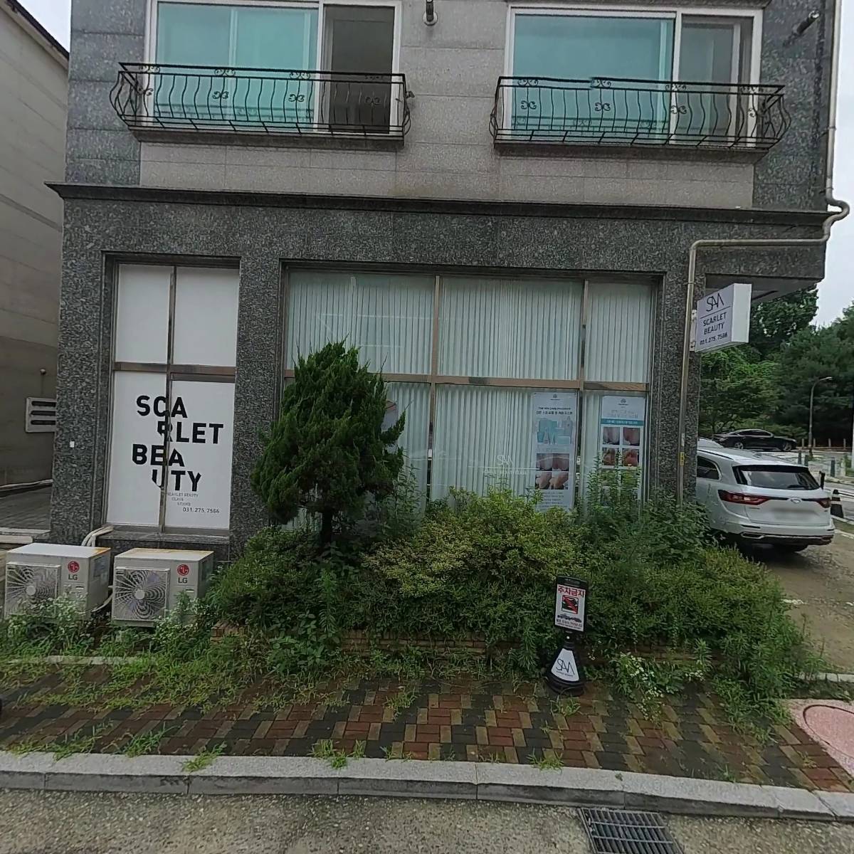 그린컵스_3