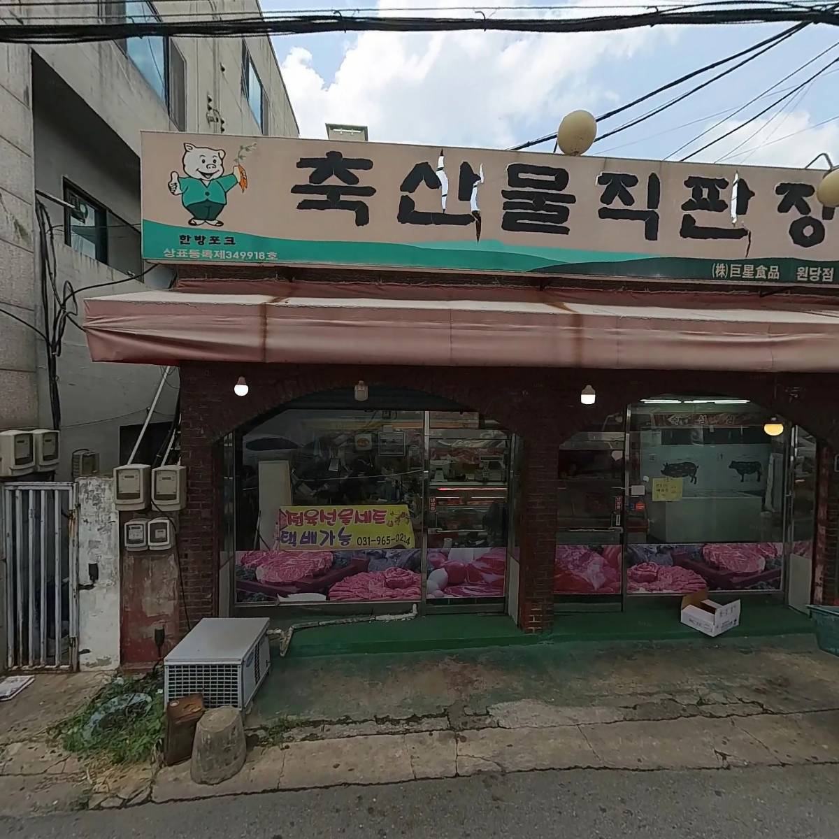 그린스포츠