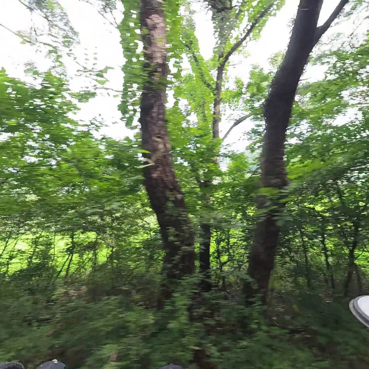 스마트하우스