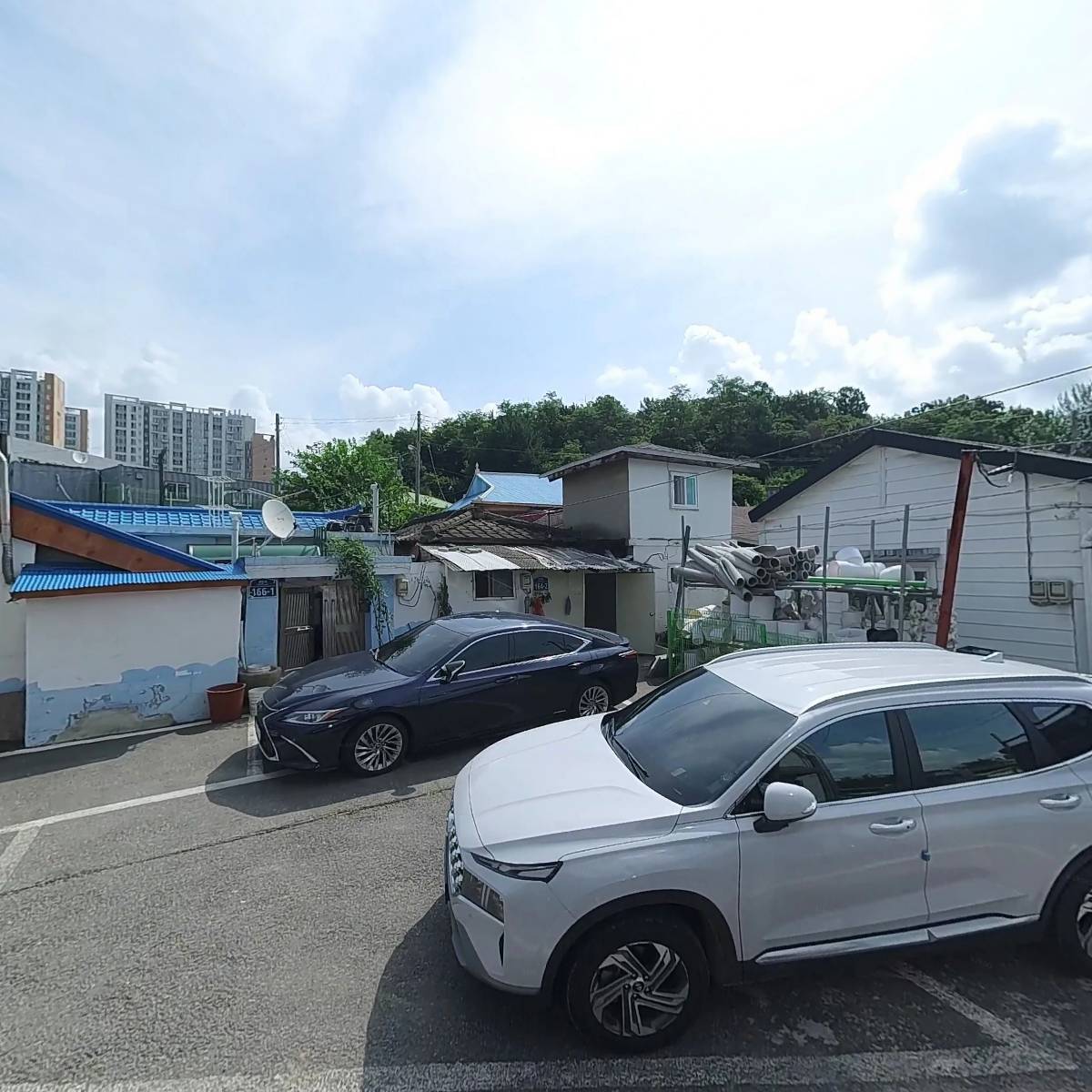 푸른합기도_3