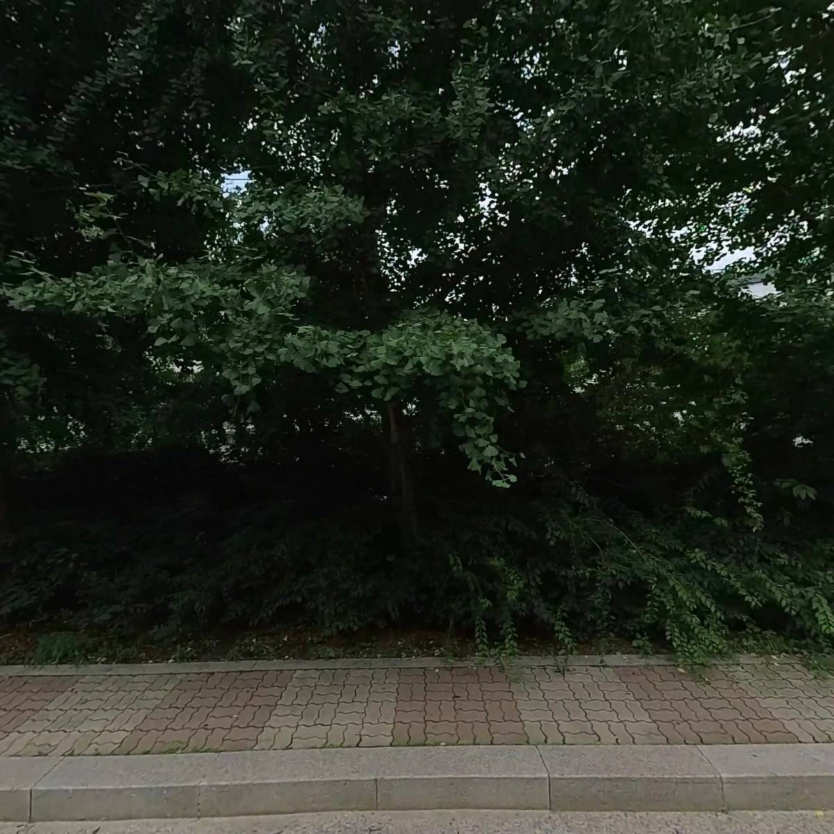 주식회사 크로베리