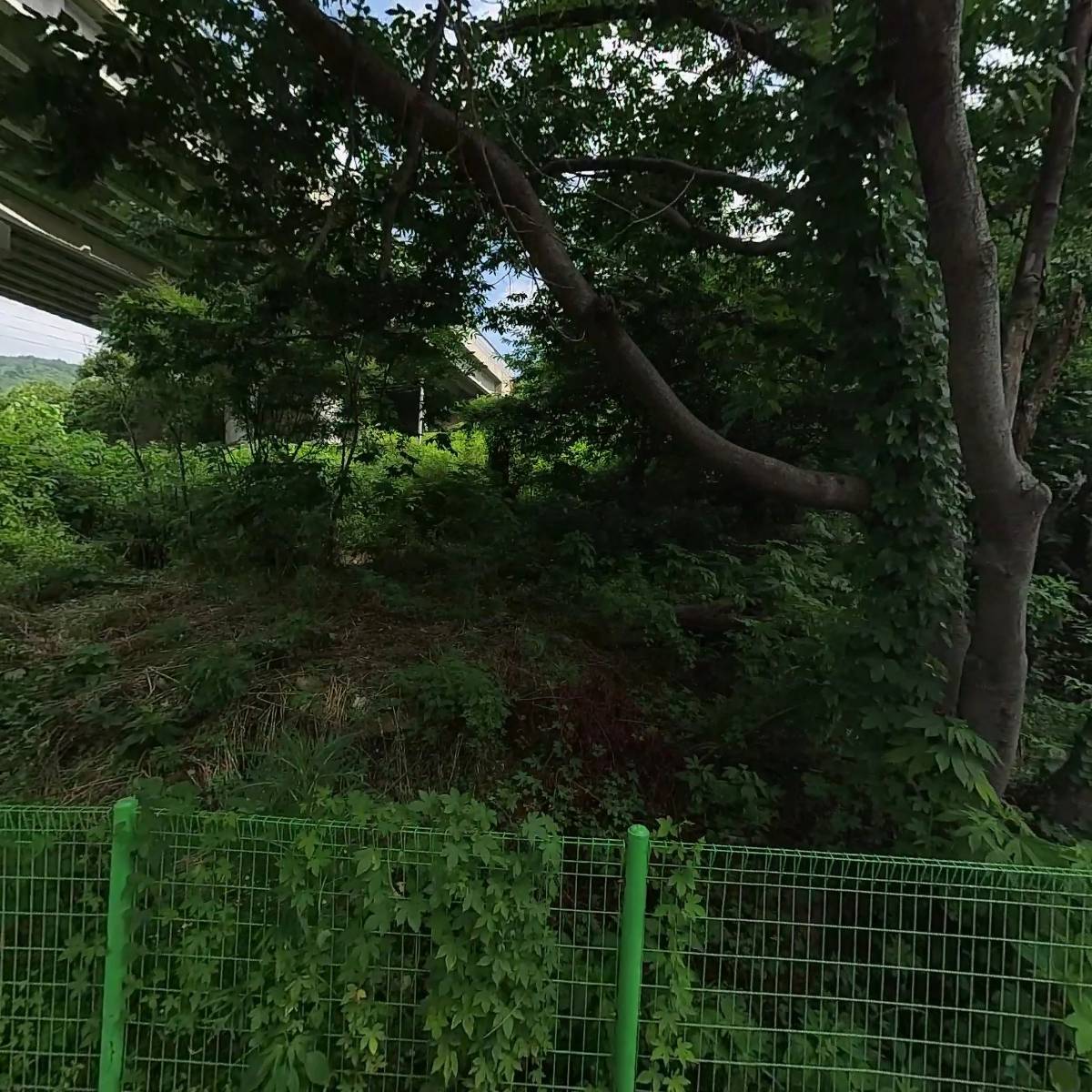 올라이트라이프동부지사주식회사