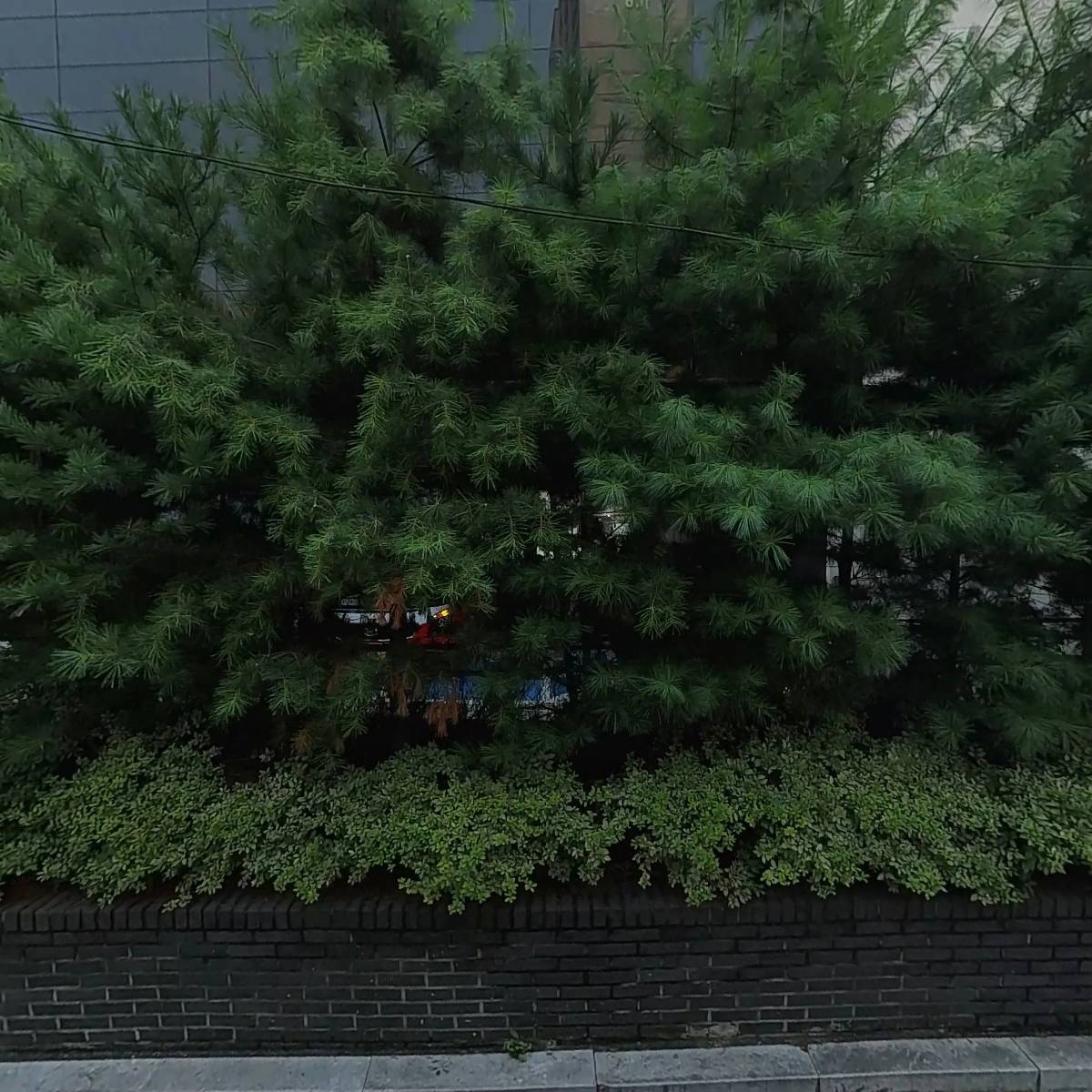 (주)이케이코스메틱