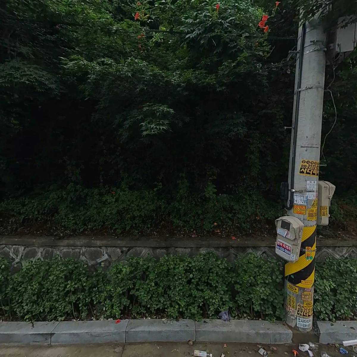 카멜커피 9호점