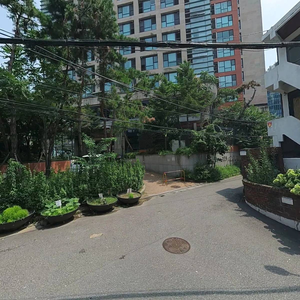 (주)트리플에이 베트남노상식당 연남본점